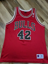 Load image into Gallery viewer, Vintage Champion Jersey - Elton Brand Chicago Bulls